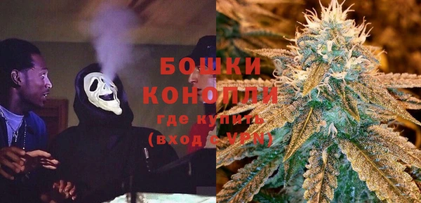 бошки Медногорск