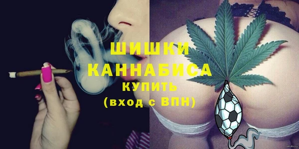 бошки Медногорск