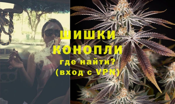 ПСИЛОЦИБИНОВЫЕ ГРИБЫ Медвежьегорск