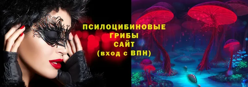 Галлюциногенные грибы Psilocybe  как найти наркотики  Заволжск 