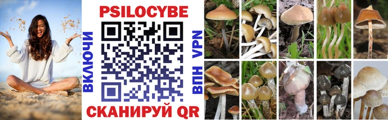 Галлюциногенные грибы GOLDEN TEACHER  Заволжск 