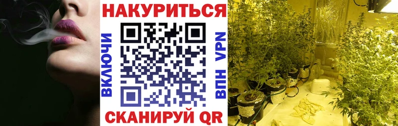 Каннабис планчик  блэк спрут как зайти  Заволжск 